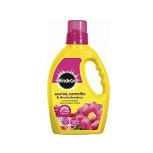 Miracle Gro Ericaceous Liquid 1 Ltr
