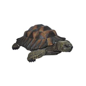 Natures Friends Small Tortoise