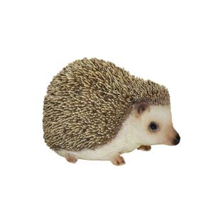 Pet Pals Pygmy Hedgehog