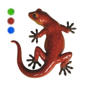 Glossy Gecko Small Magnetic Assorted Colours