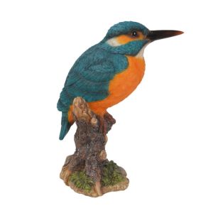 Kingfisher On Stump