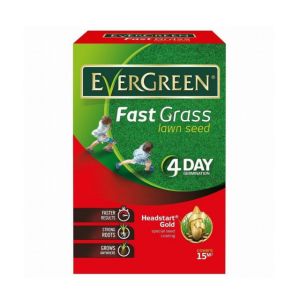 Evergreen Fast Grass 450G+33% FREE
