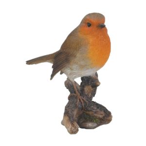 Robin Wild Bird F Size