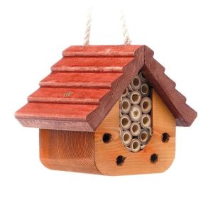 Ladybird & Insect House