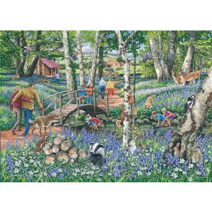 Find The Differences Walk In The Woods 1000Pc