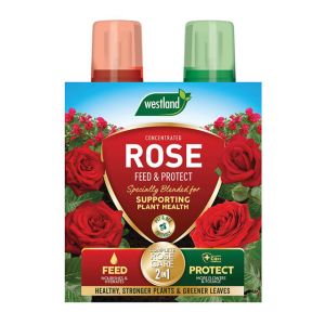 Westland Rose 2 in 1 Feed & Protect 2 x 500ml