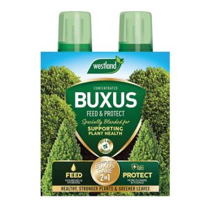 Westland Buxus 2 in 1 Feed & Protect 2 x 500ml