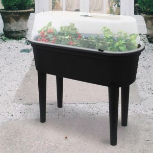 Plastic Oval Grow Table with Lid