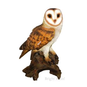Real Life Barn Owl Ornament