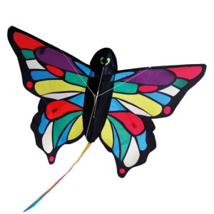Tropical Butterfly Kite