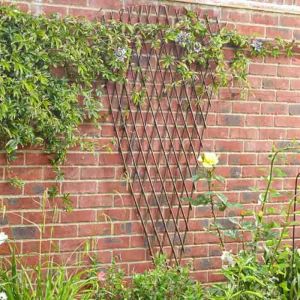 Extra Strong Fan Willow Trellis 1.8 x 0.9M