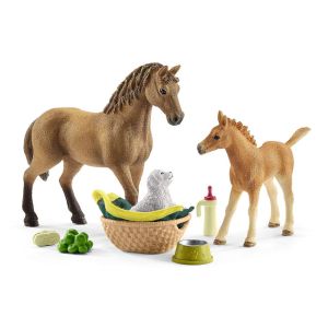 Horse Club Sarah’s Baby Animal Care