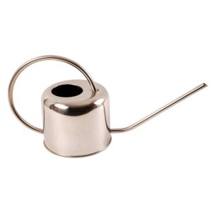 Stainless Steel Watering Can 1l