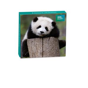 BBC Earth Giant Panda Baby Notecards