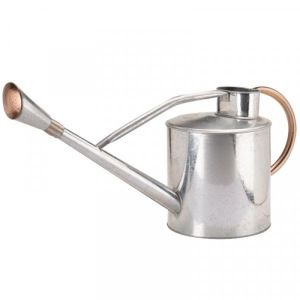 Long Reach Watering Can 9L
