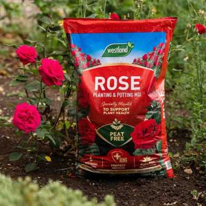 Westland Peat Free Rose Compost 25L