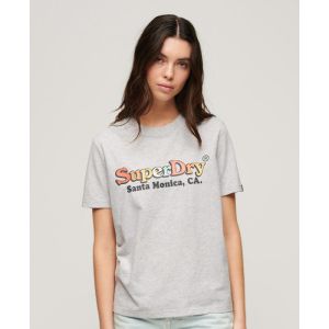 Superdry Rainbow Logo Relaxed Fit T-Shirt